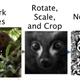 From image to AI-ready sample.